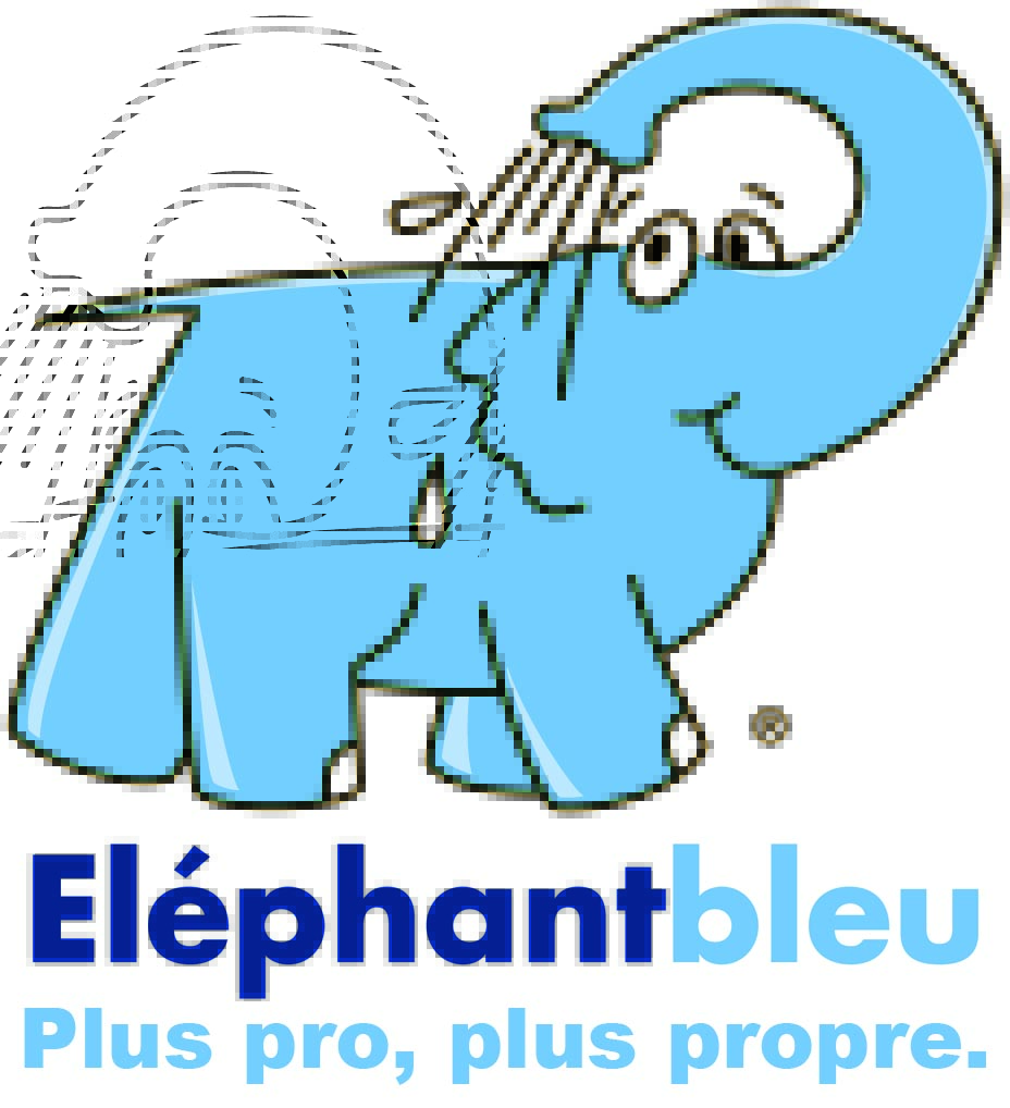 station lavage elephant bleu