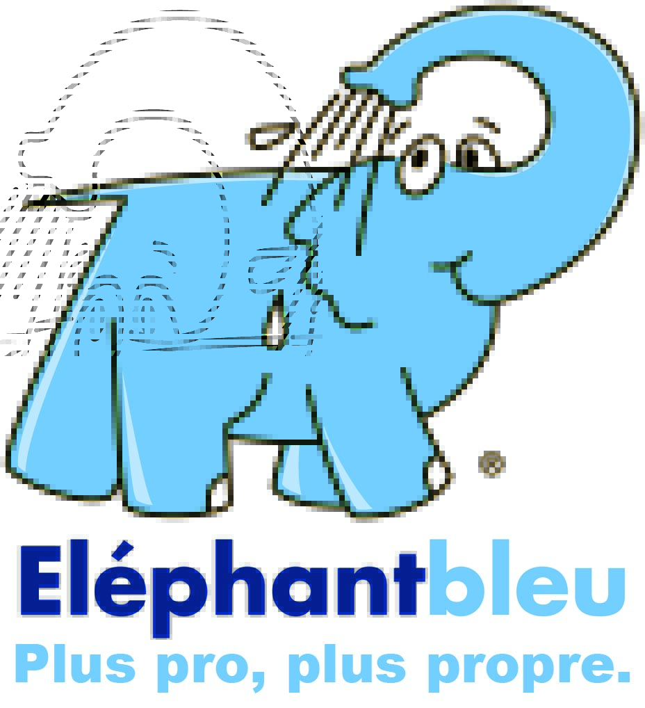 station lavage elephant bleu